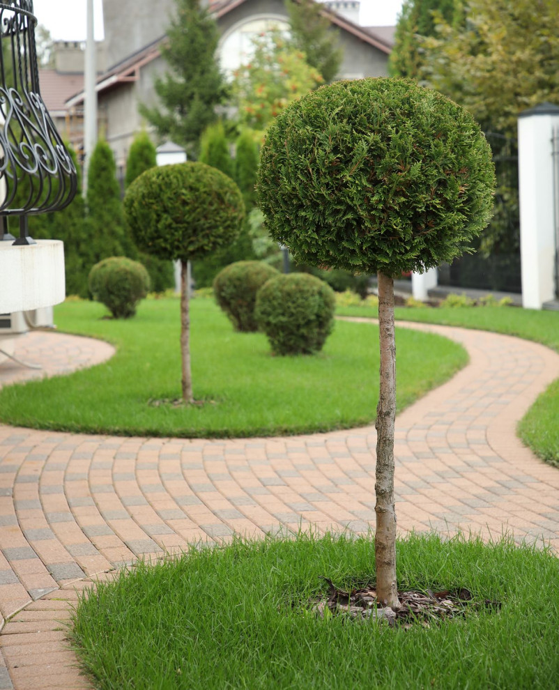 Участок в Старбеево.