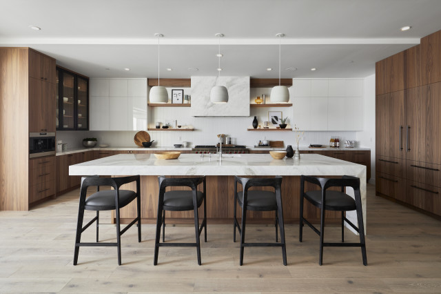 Tremont contemporaneo-cocina