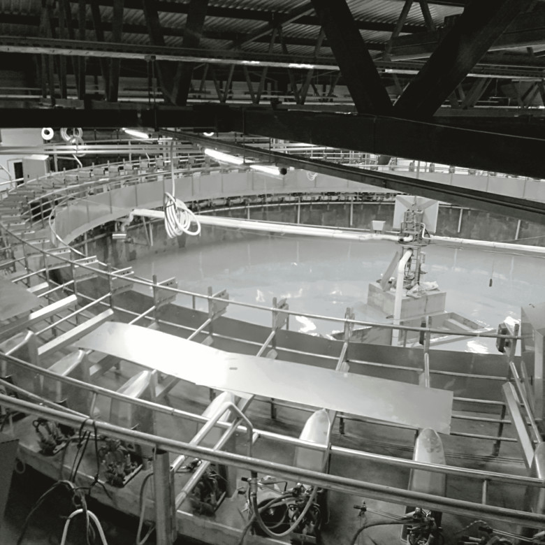 Полы на молочном производстве