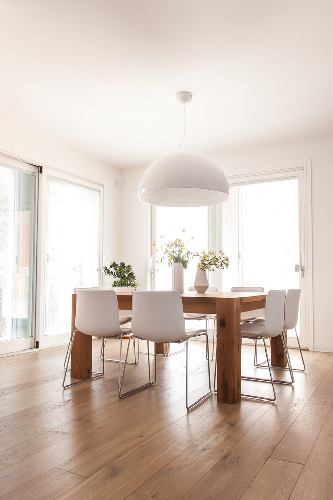 Inspiration for a contemporary dining room in Other with white walls and light hardwood floors.