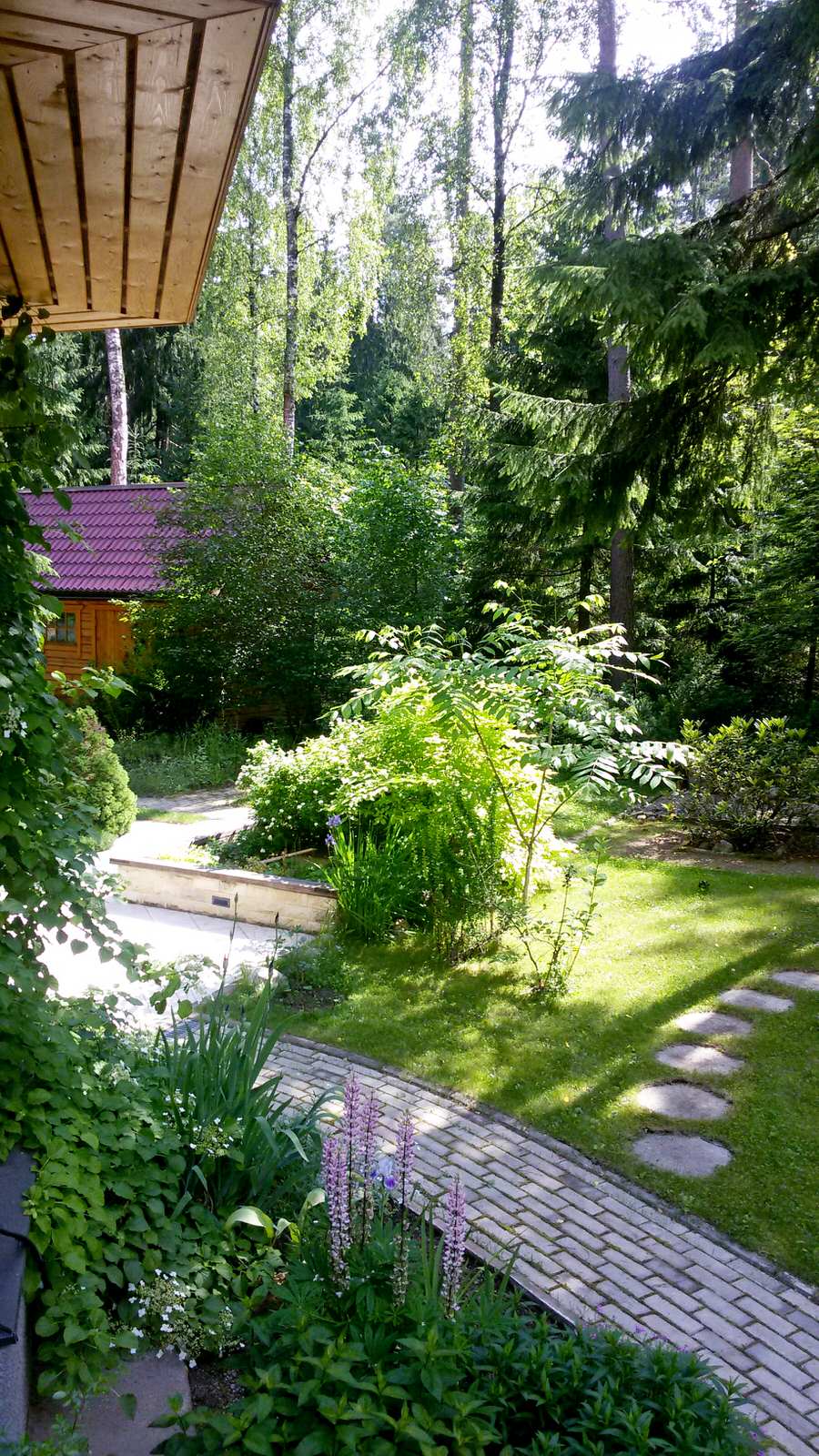 Вид на патио и хозяйственный двор