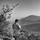 raul_revilla