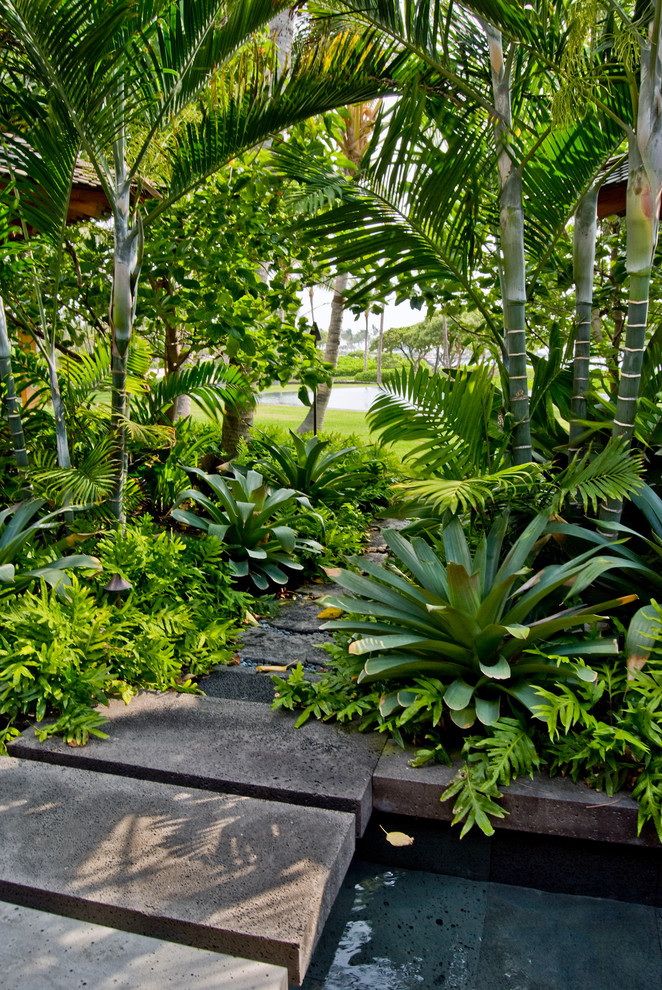 Photo of a tropical garden in Hawaii.