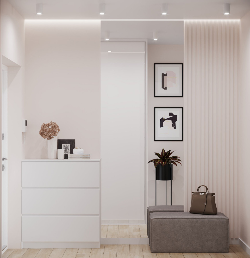 Cette image montre une petite entrée design avec un couloir et un mur blanc.