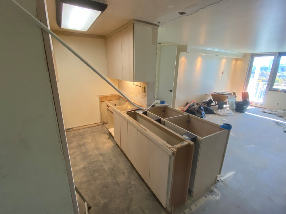 Kitchen and Living Space Remodel