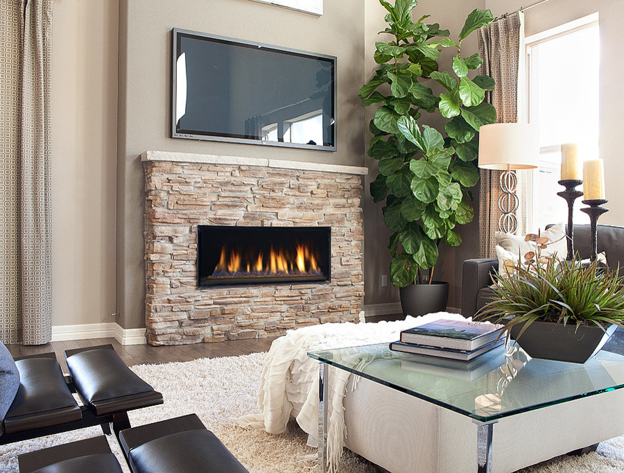 Living room - transitional living room idea in Denver