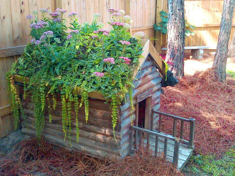 Kindergarten writing paper landscape picture