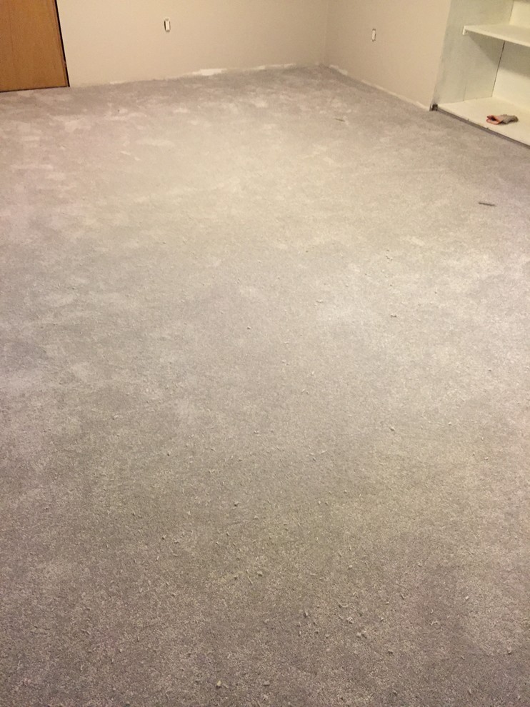 Basement - transitional carpeted basement idea in Toronto