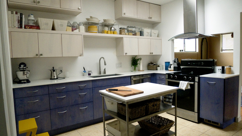 Kitchen reveal | Houzz Forum