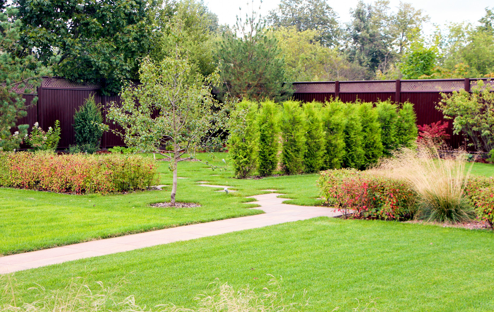 Петровское, 2018-2020 гг.