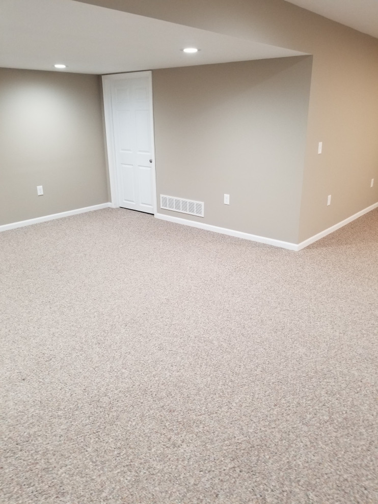 Ann Arbor / Condo Finished Basement with Bathroom