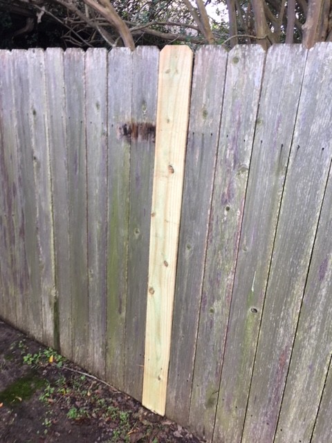 Fallen Fence Repaired