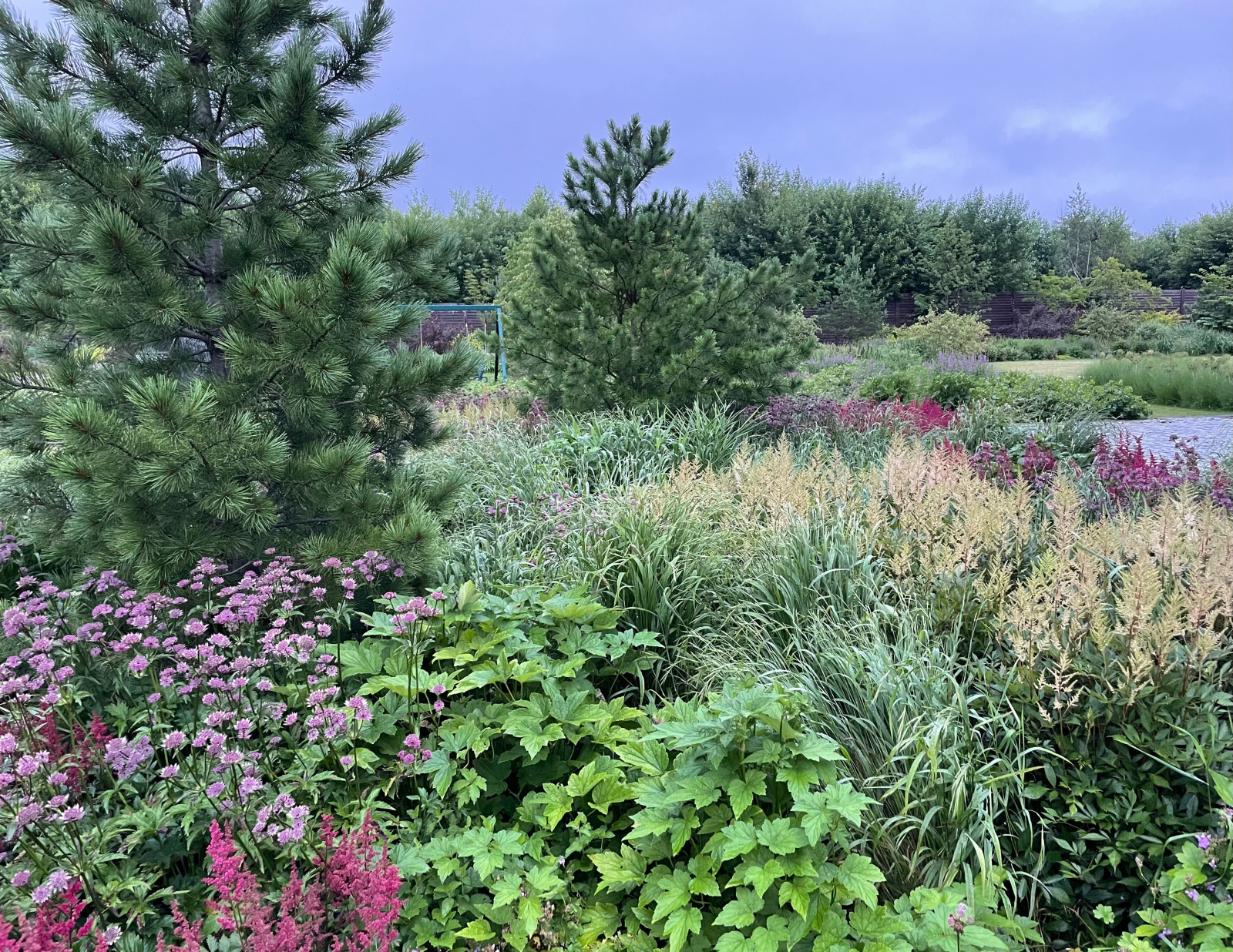 Цветение июль