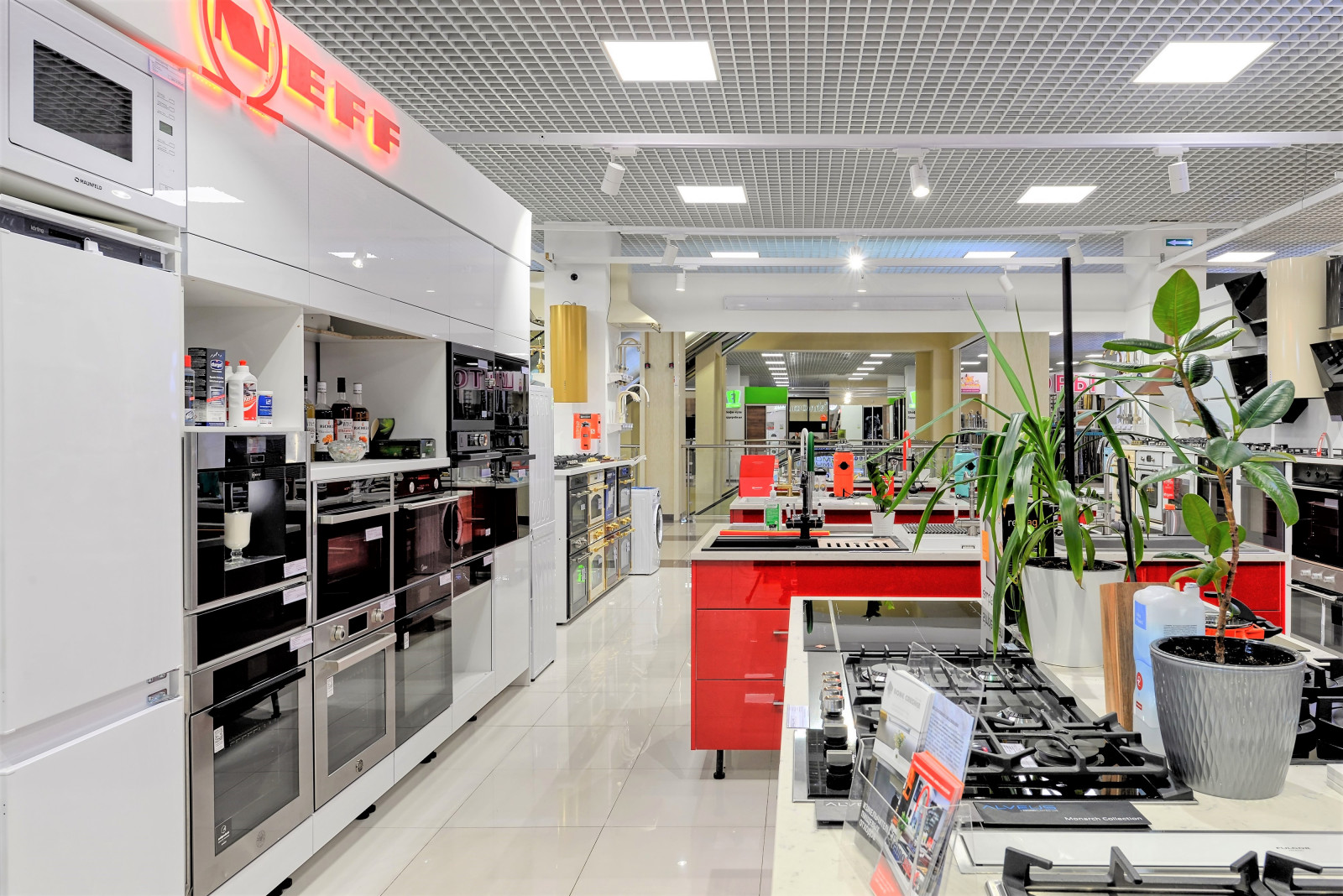 Салон Техномульт , МЦ Богатырь