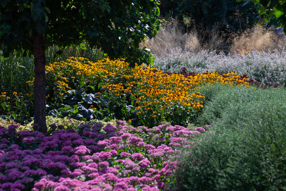 Сад трав+ Ботаник