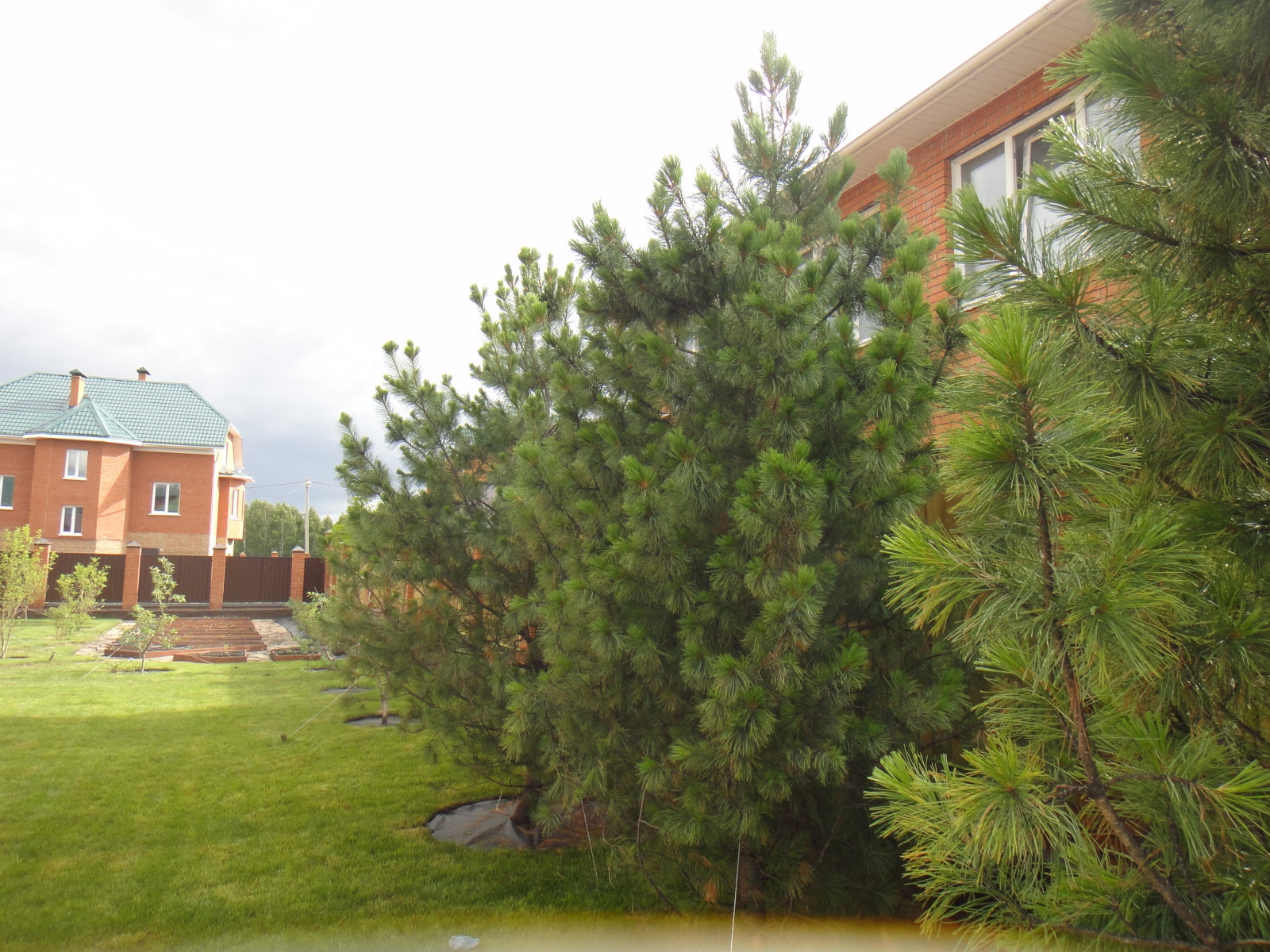 Ландшафтные работы и озеленение участка в Юрге