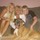 nanci_mccarthy