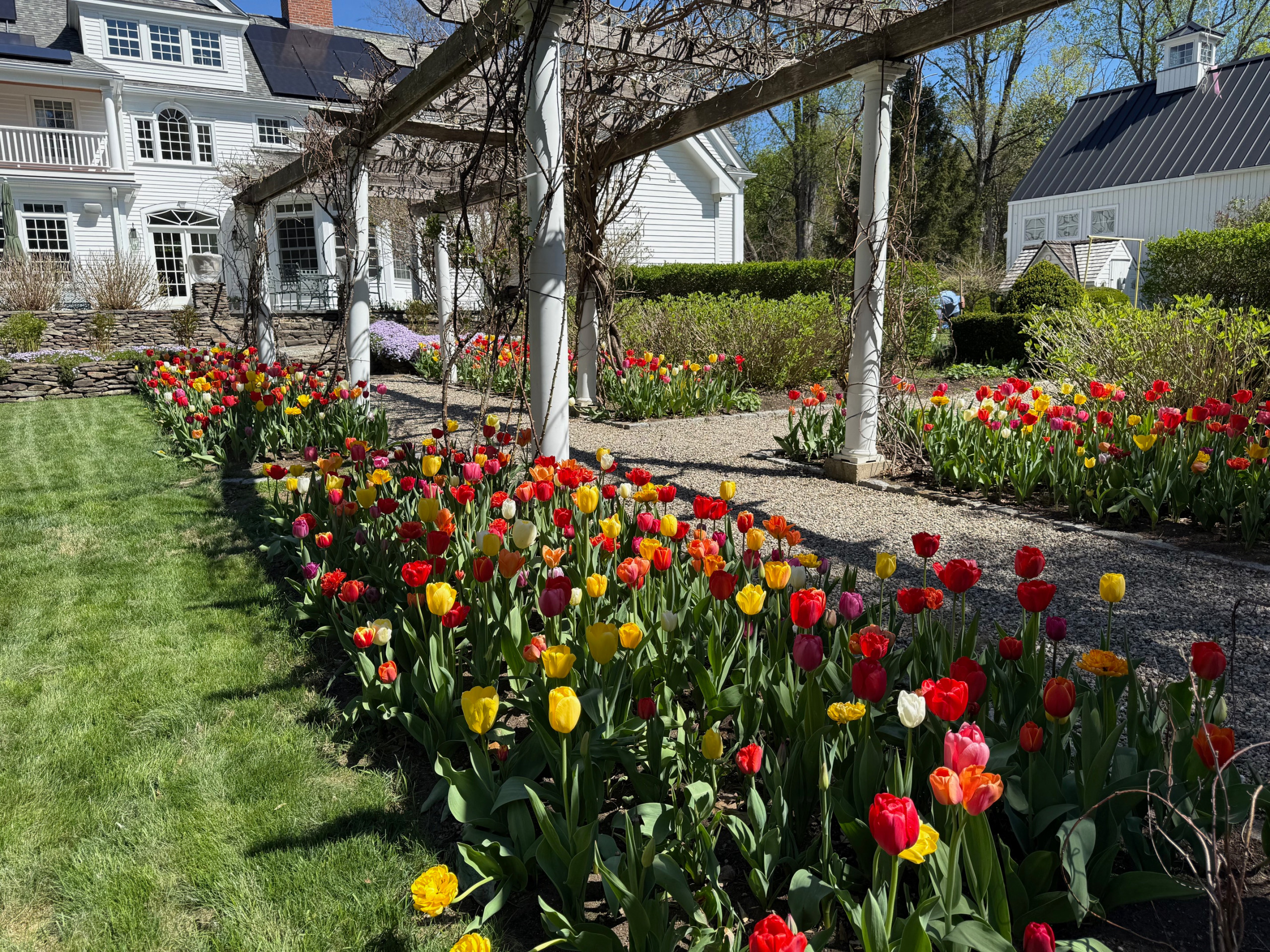 Back Yard Gardens