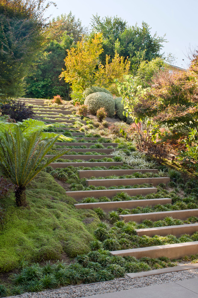 Aménagement d'un jardin contemporain avec une exposition ombragée et une pente, une colline ou un talus.