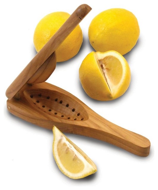 EcoTeak Wood Squeezer Rustic Juicers by Enrico