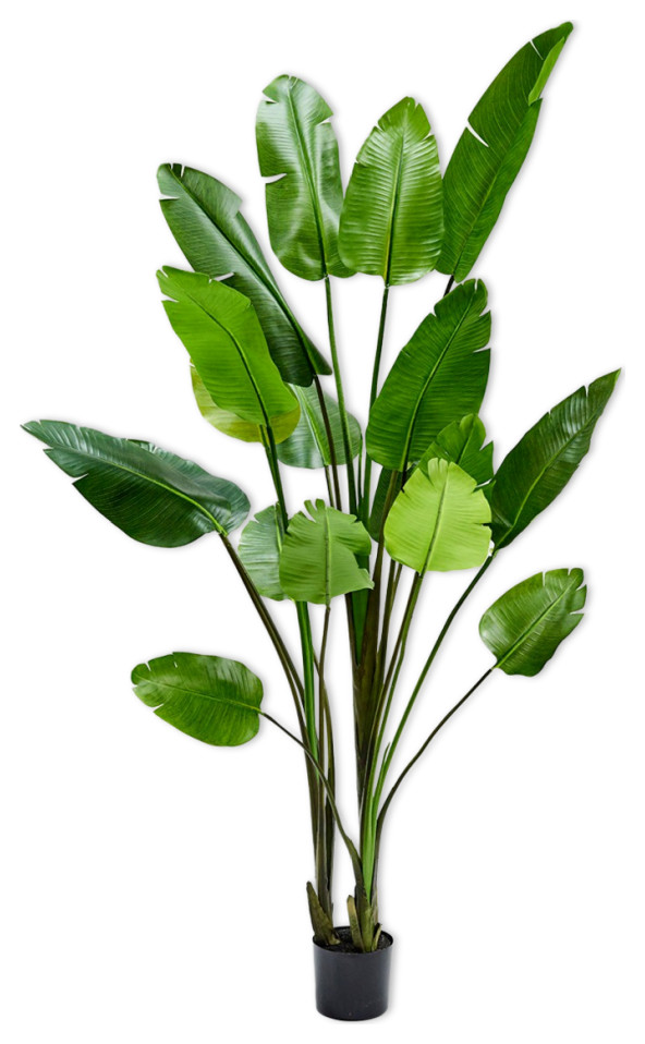 Faux Tropical Tree Silkka Strelizia Contemporary Artificial