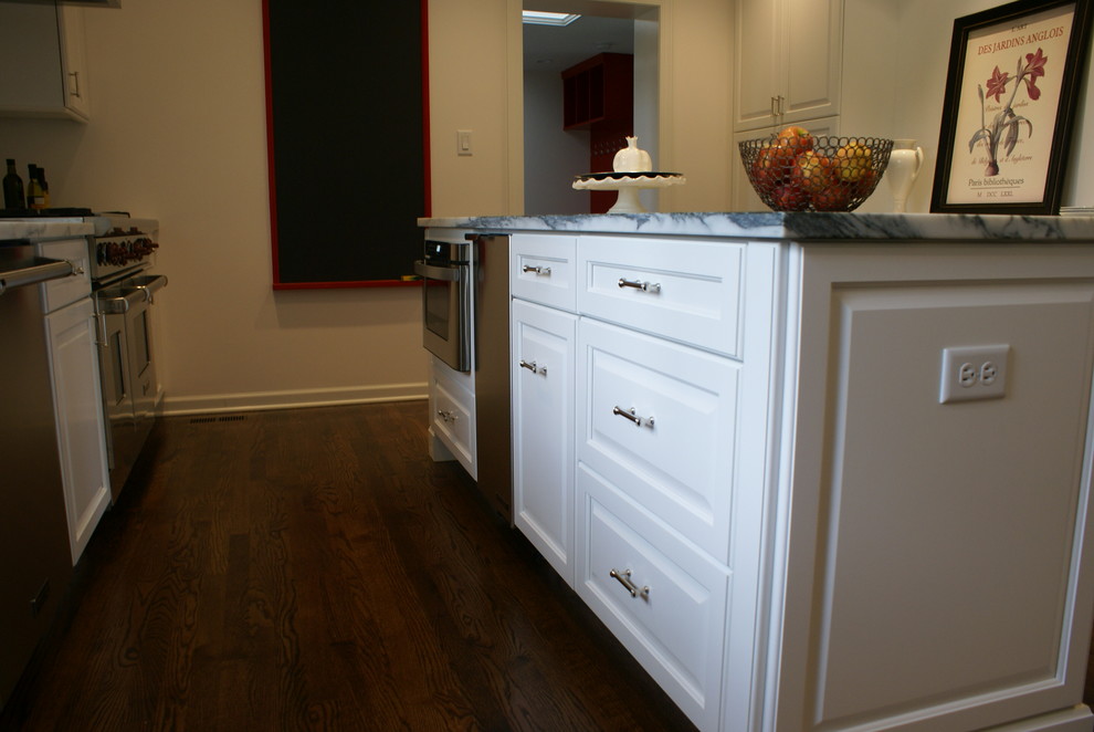 Transitional home design photo in Chicago