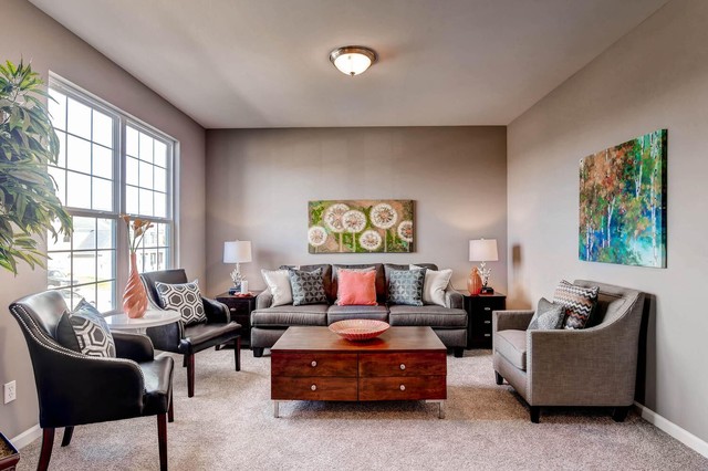Transitional Living Room transitional-living-room