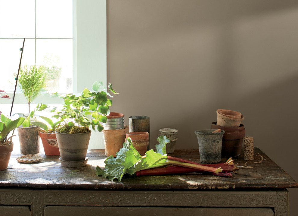 Цвет Года 2021 - Aegean Teal 2136-40 - и палитра "Цветовые Тенденции 2021"