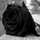 maria_brunetti39