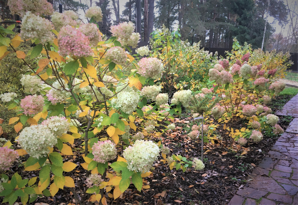 Васильевское