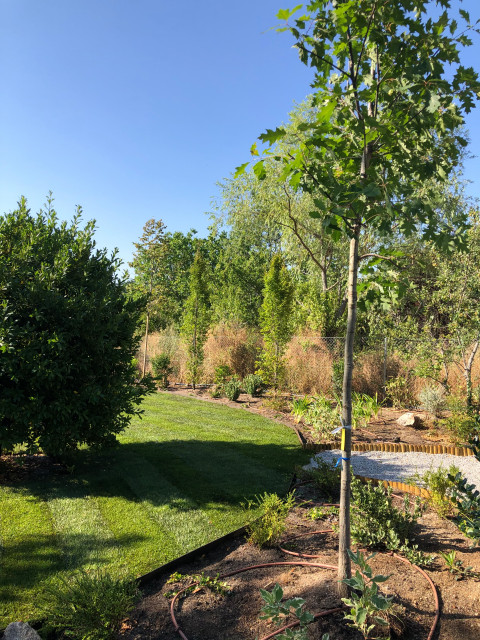 Jard&iacute;n de la Sierra klassisch-modern-garten