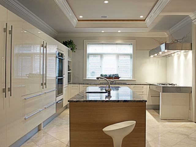 LG Construction + Development Kitchen modern-kueche