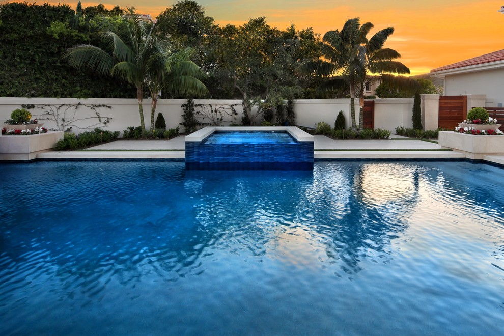 Pool - transitional pool idea in Orange County