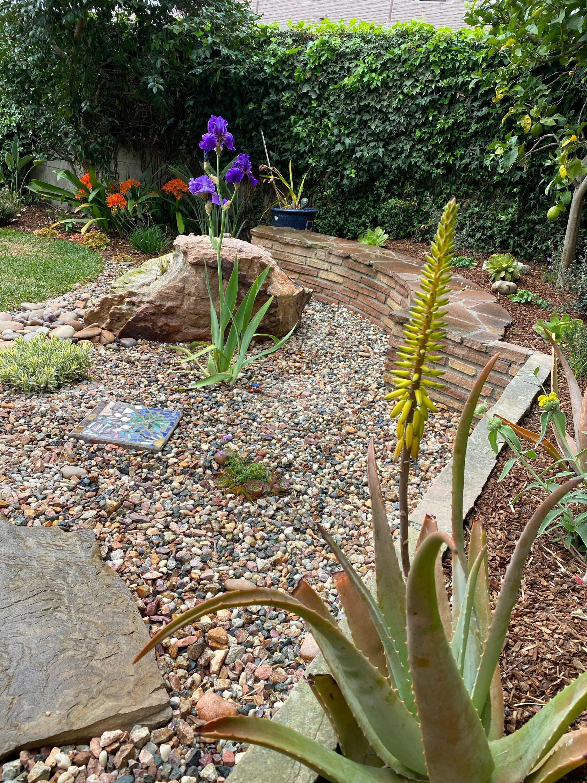 Hermosa Beach: Pollinator Garden