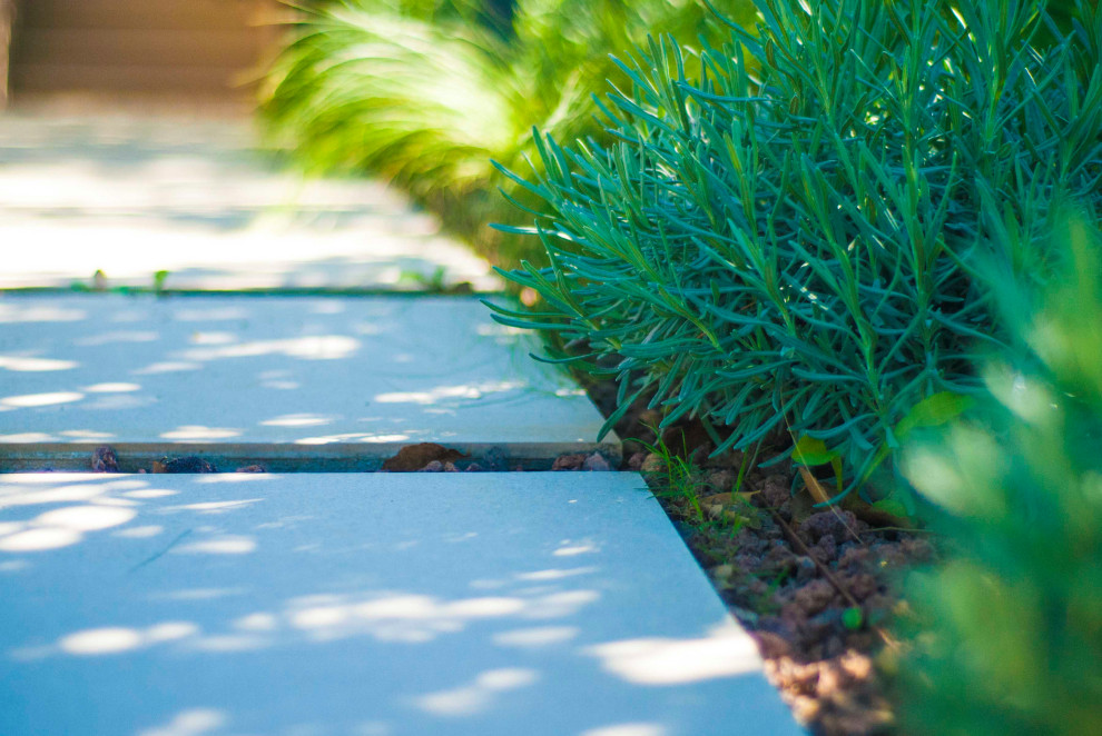 Modelo de jardín mediterráneo grande