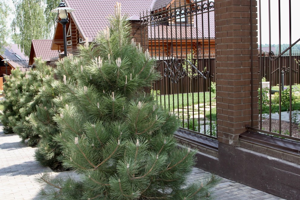 КП Солнечный город