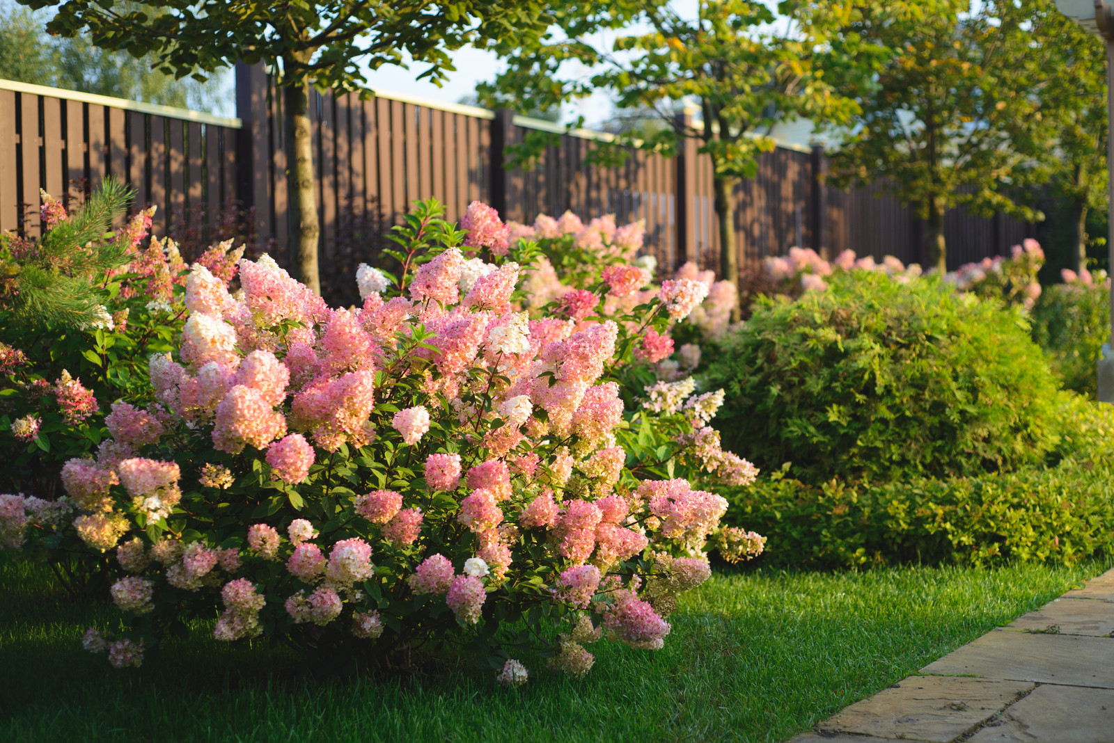 Регулярная классика