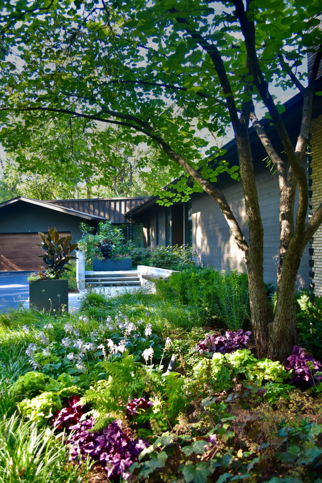Geräumiger, Halbschattiger Retro Vorgarten im Sommer mit Natursteinplatten und Blumenbeet in Chicago