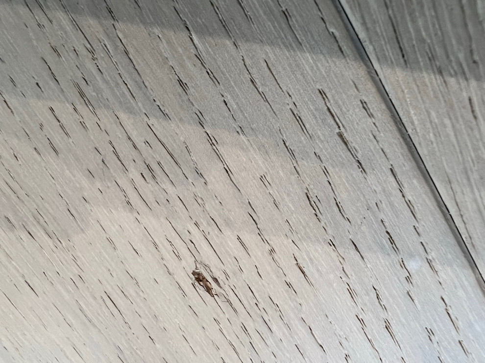 PROBLEM WITH NEWLY INSTALLED ENGINEERED HARDWOOD FLOORS     