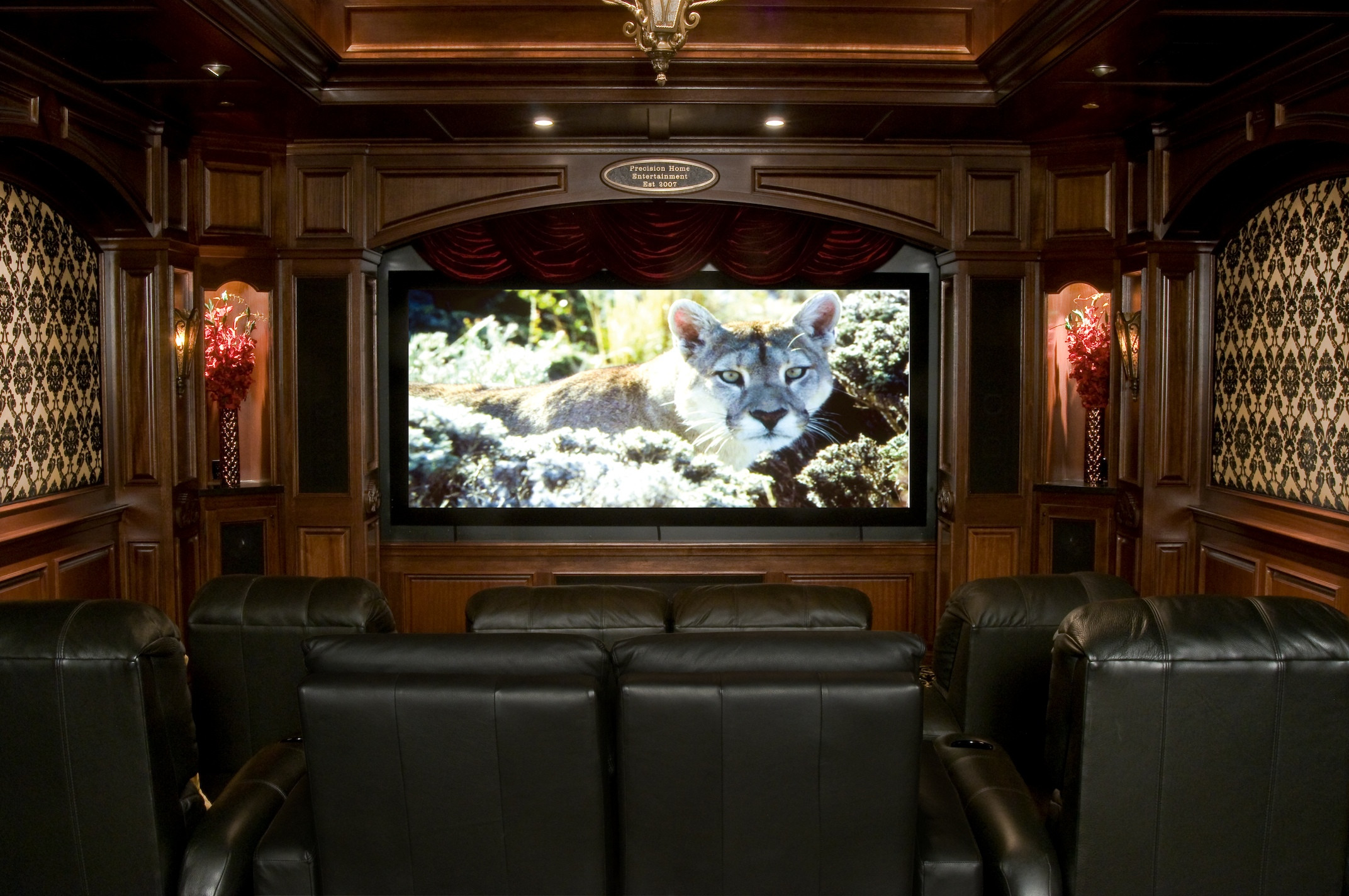 Home Theater interiors