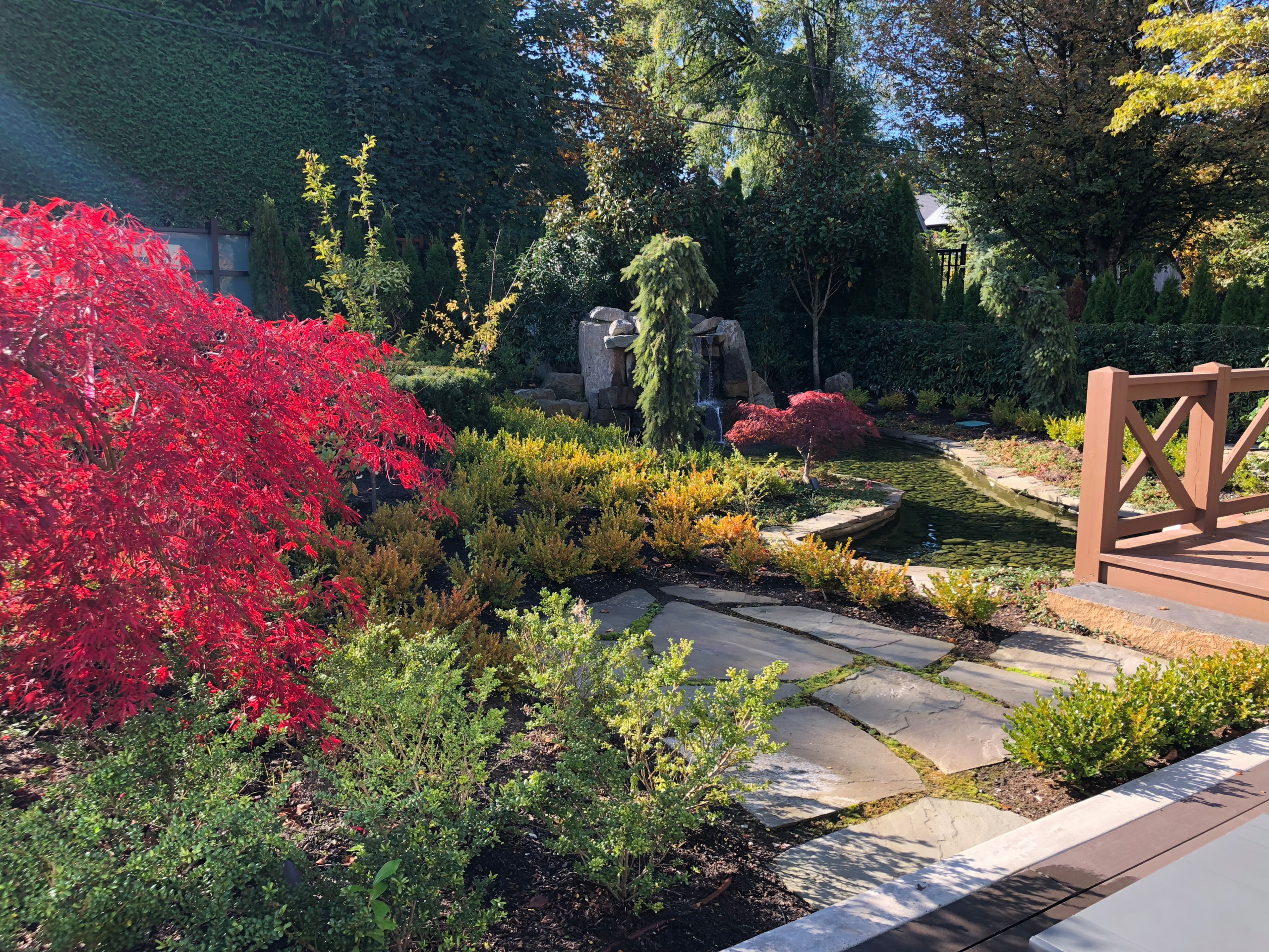 Classical Water Garden in Shaughnessy