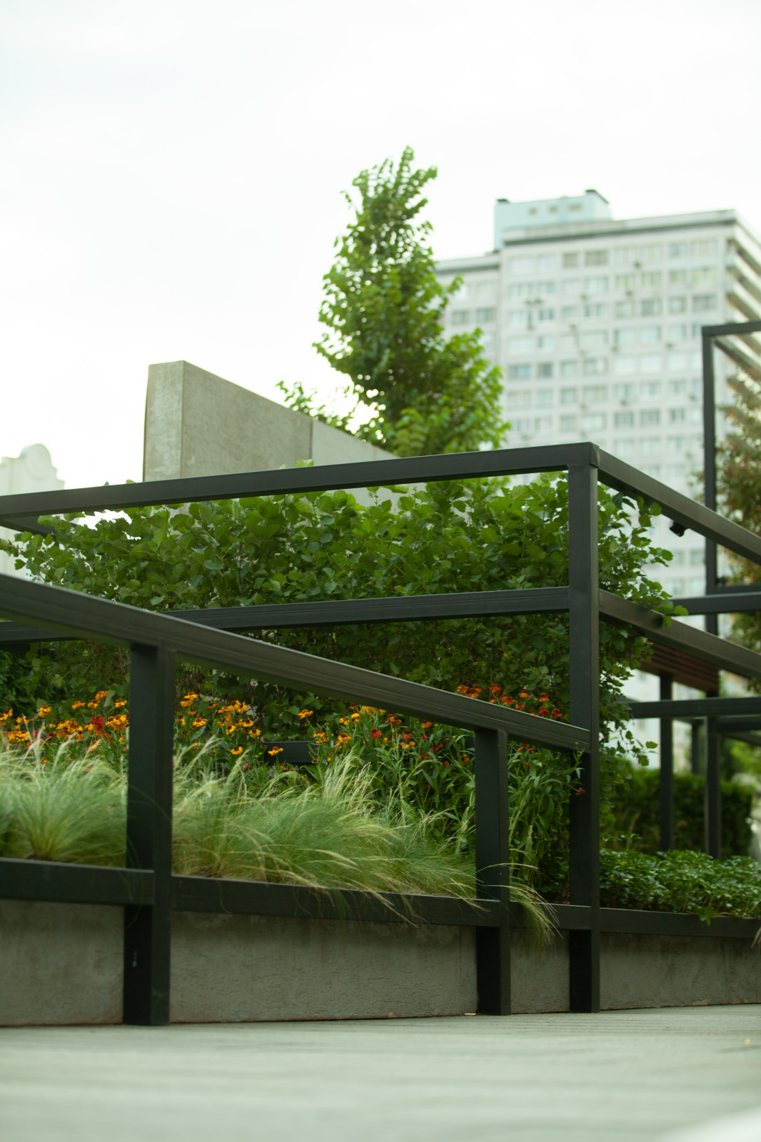 Архитектура природы