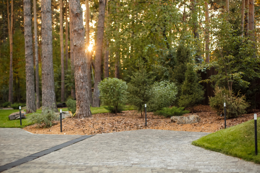 Ландшафт. Лесная погулка