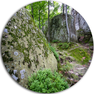 Rocky Deep Moss Forest Ukraine, Landscape Disc Metal Wall Art - Rustic