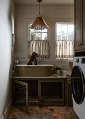 7 Housekeeping Tips for Dog Owners