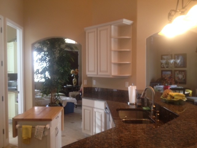 Dolores and Tony's Kitchen Recolor