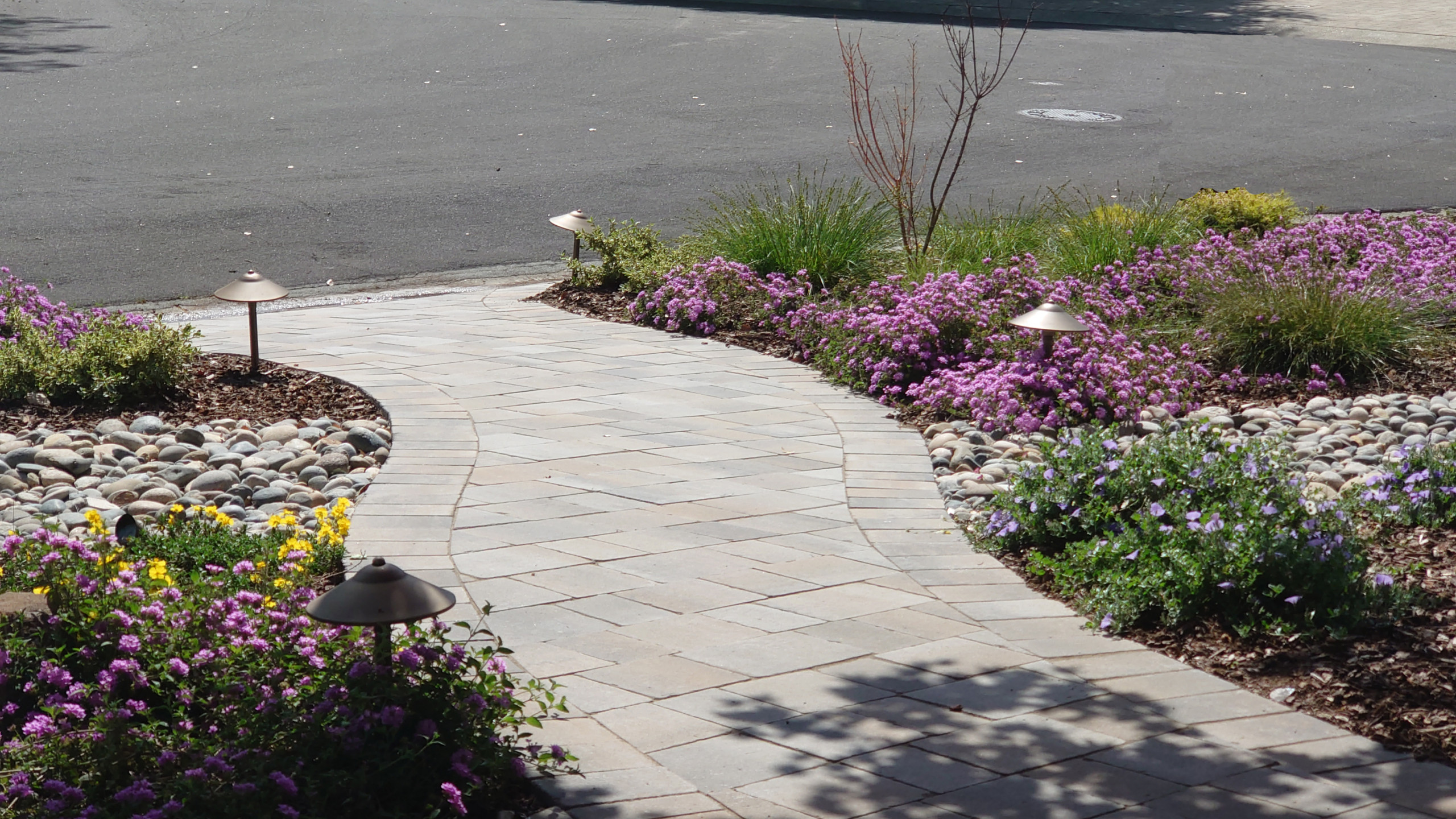 DESIGN TO COMPLIMENT MAPLE TREES