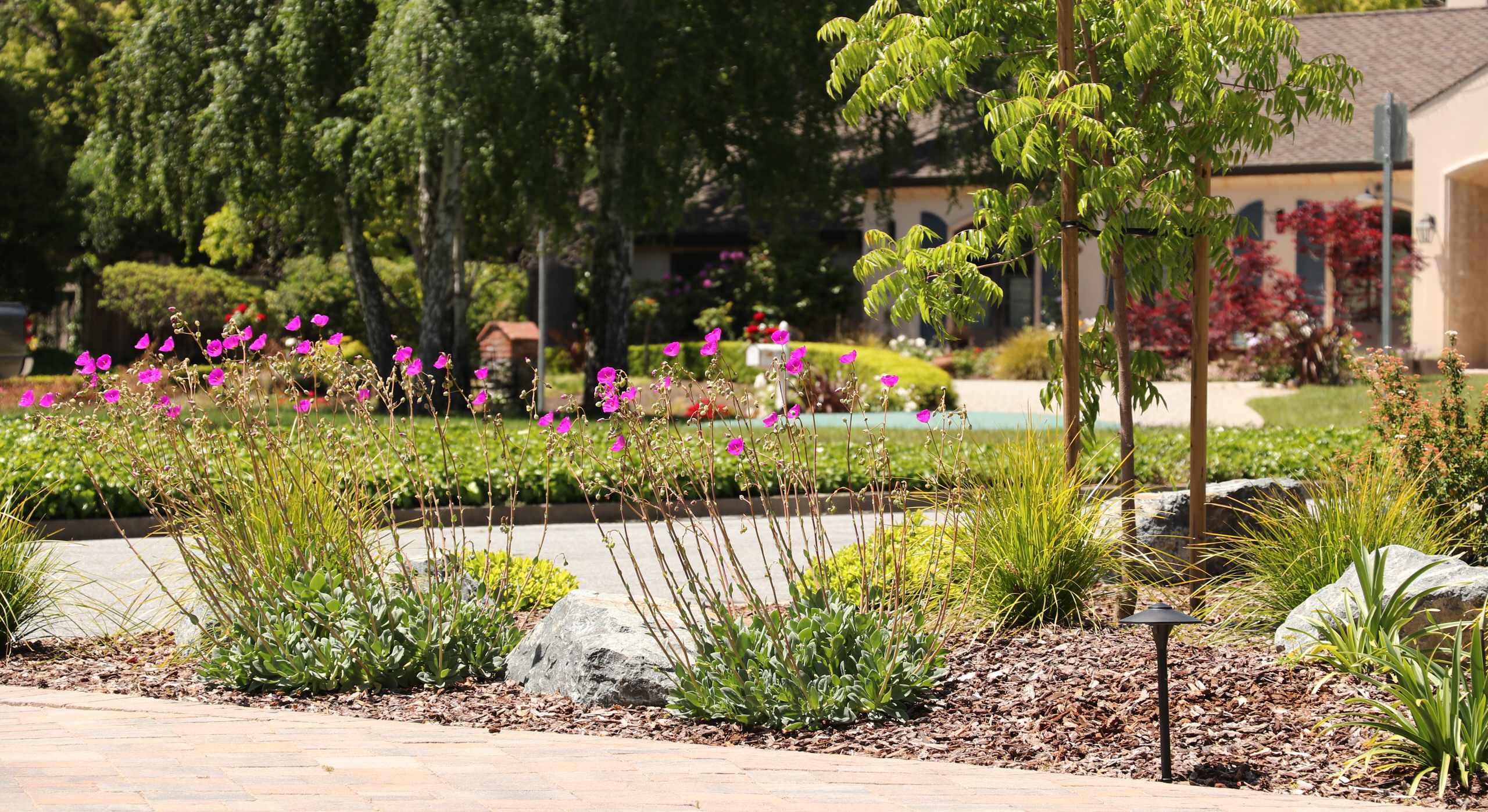 FRONT YARD WITH TREES AND DRY-CREEK