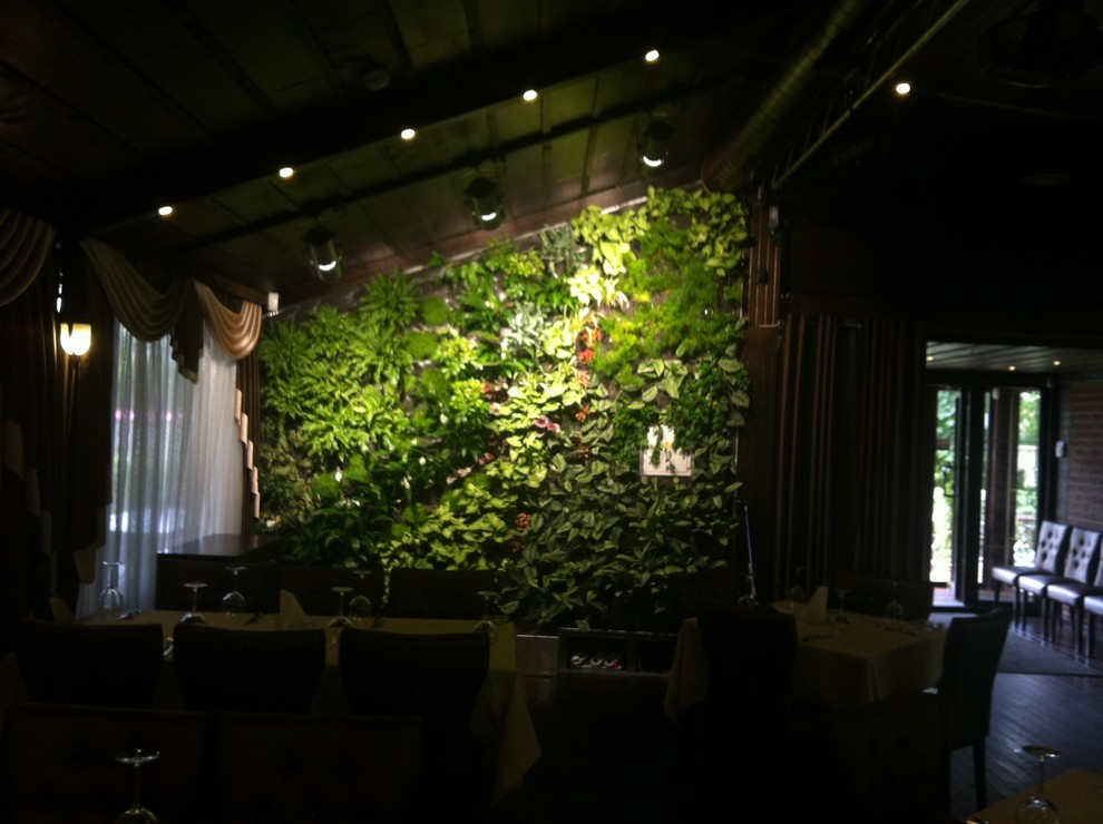 Вертикальные сады