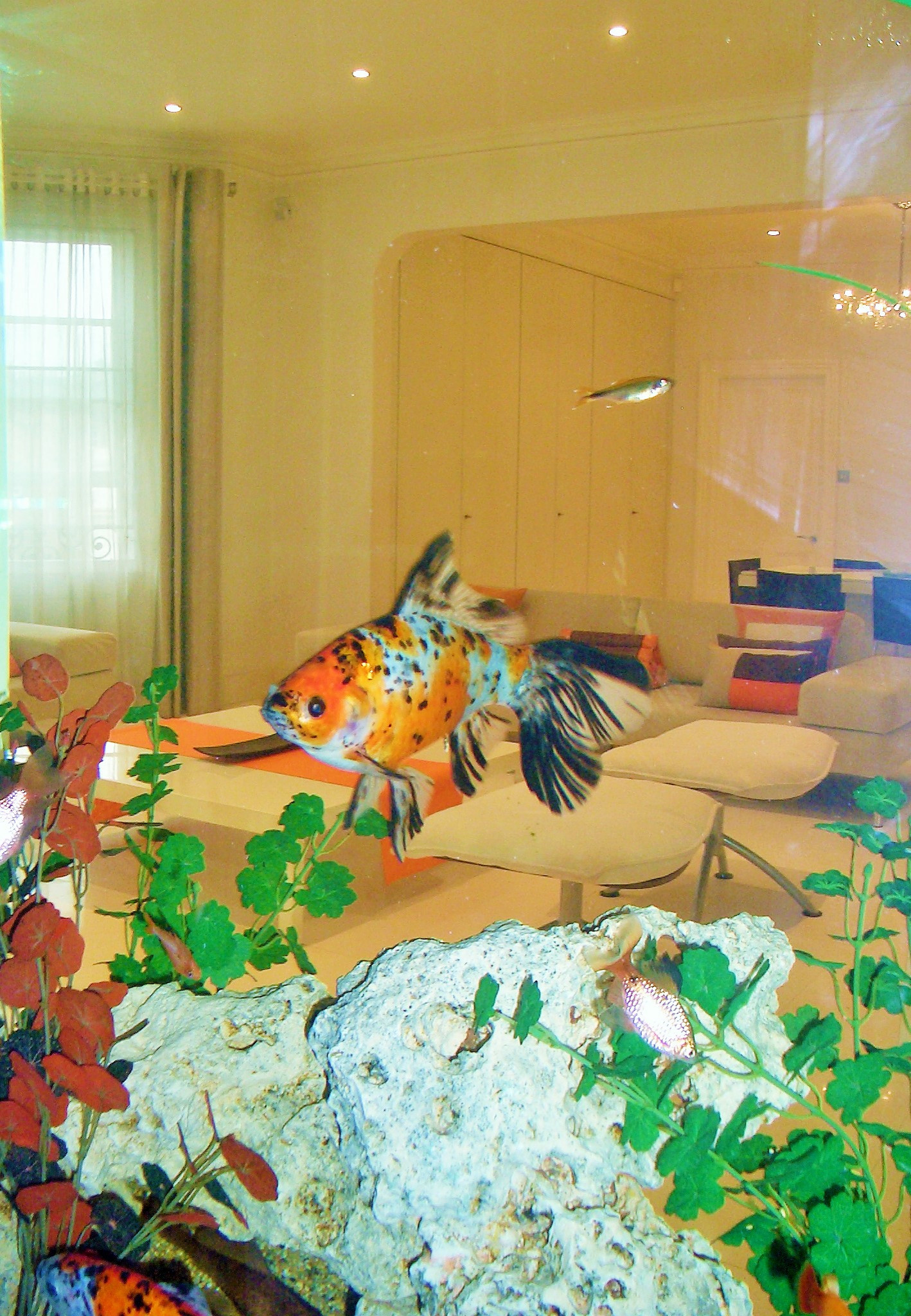 Kensington Flat